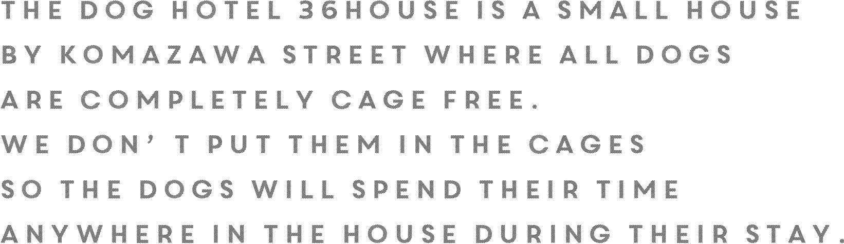 The dog hotel 36house is a small house by Komazawa street where all dogs are completely cage free. We don’t put them in the cages so the dogs will spend their time anywhere in the house during their stay.